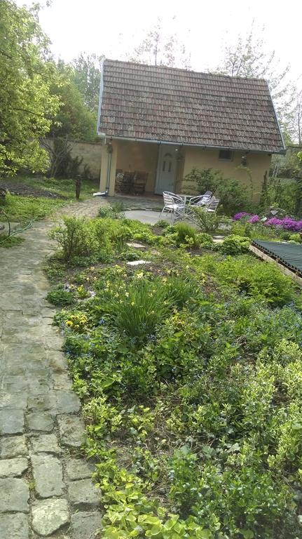 Willa Medeno Srce Palić Zewnętrze zdjęcie